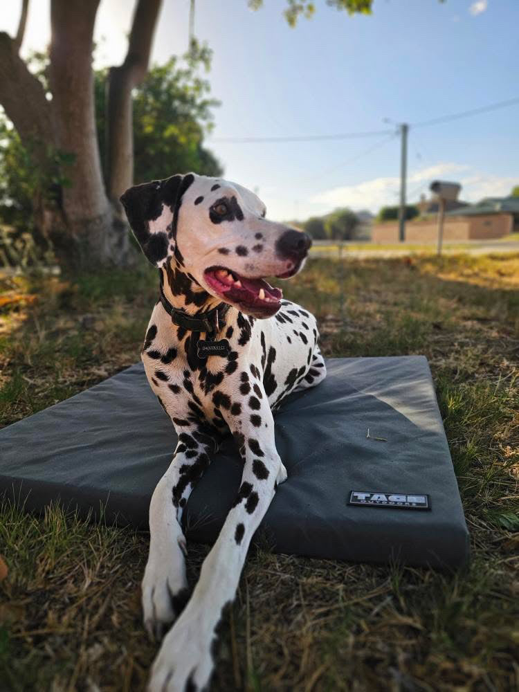 Canvas dog bed Tage outdoors