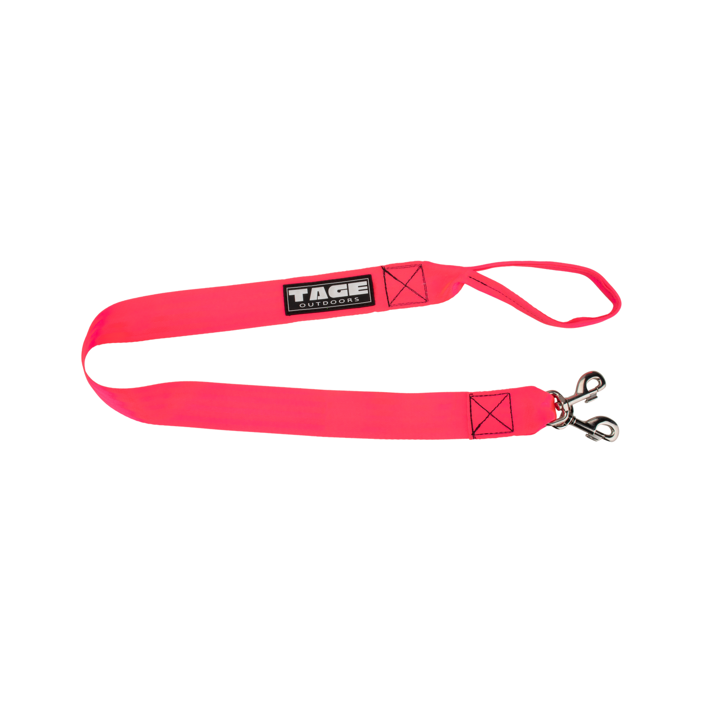 Dog leads Tage outdoors