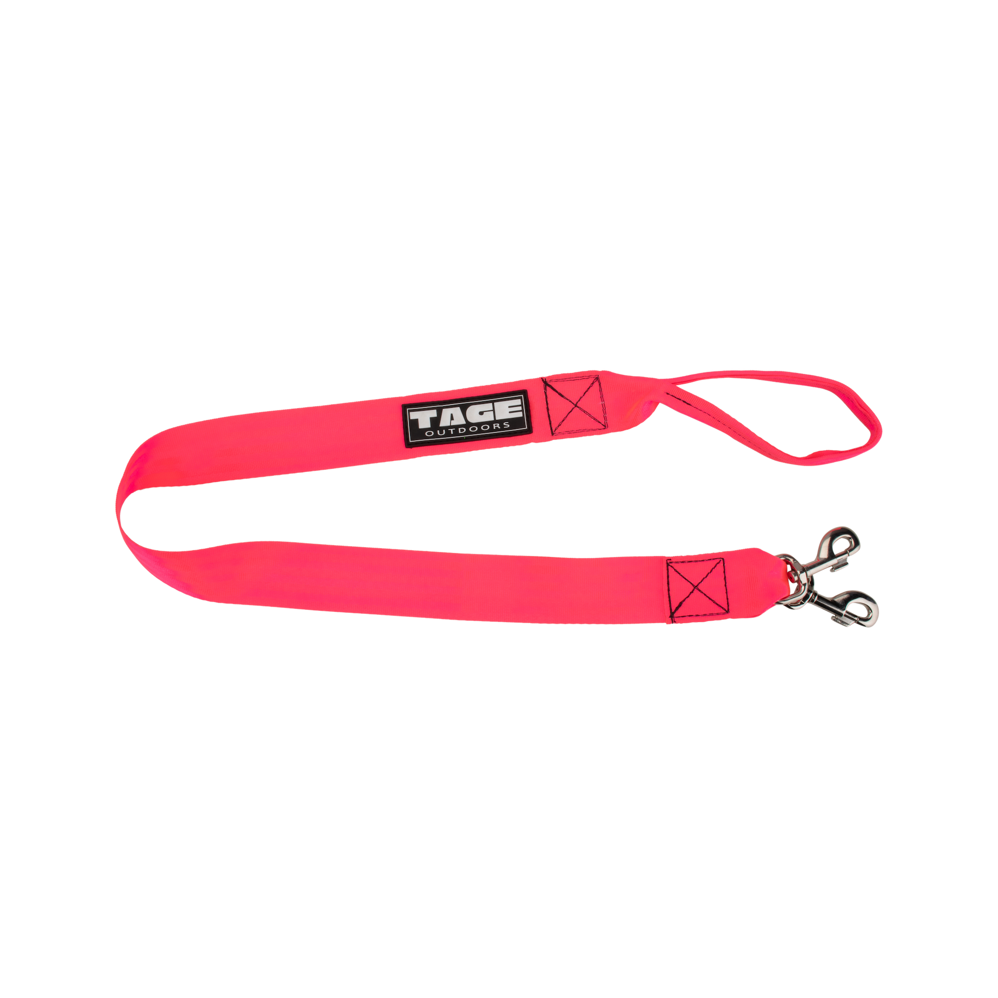Dog leads Tage outdoors