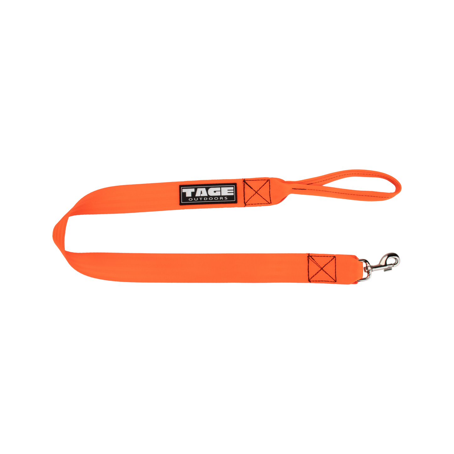 Dog leads Tage outdoors