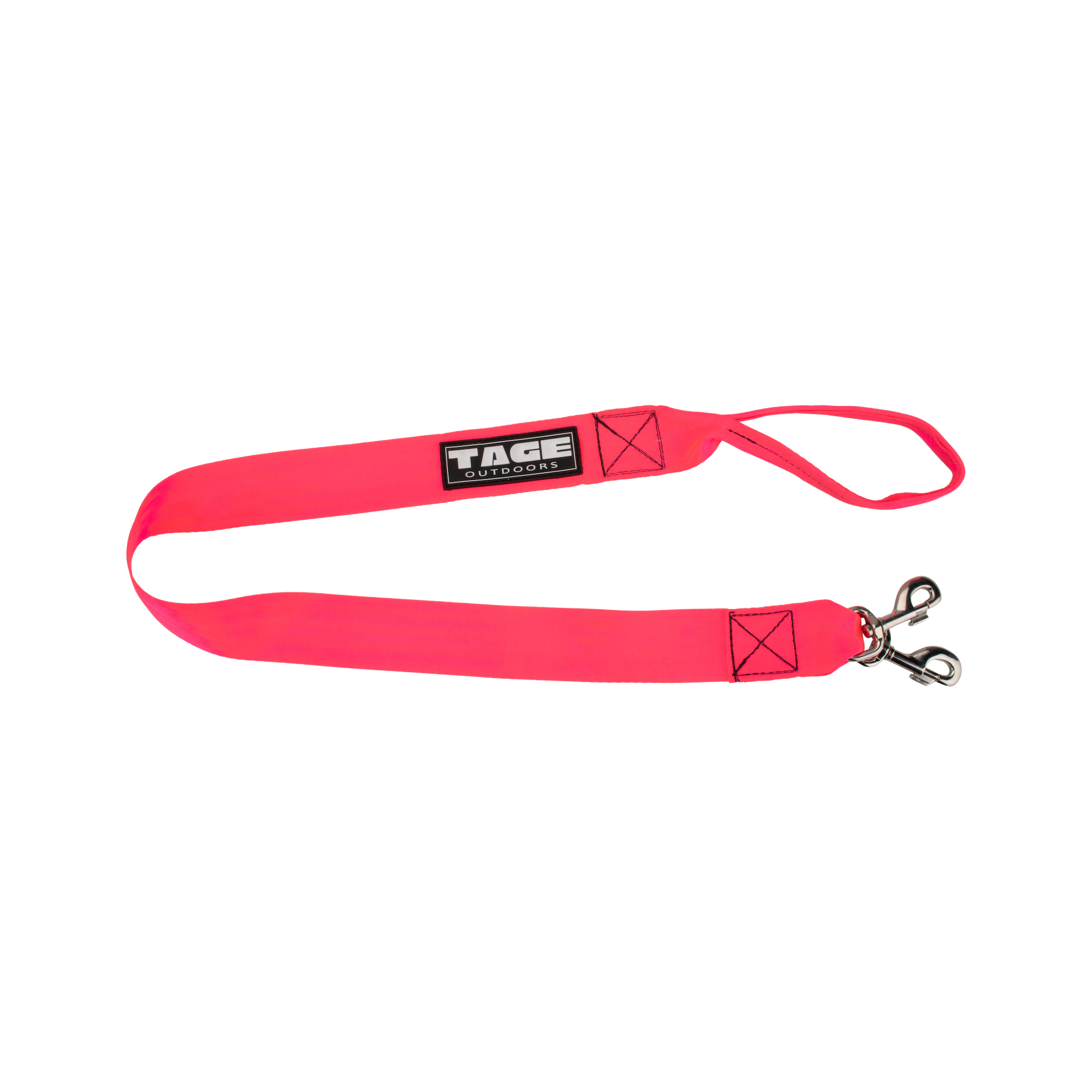 Dog leads Tage outdoors