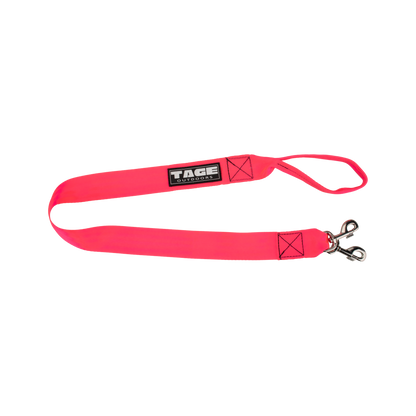 Dog leads Tage outdoors