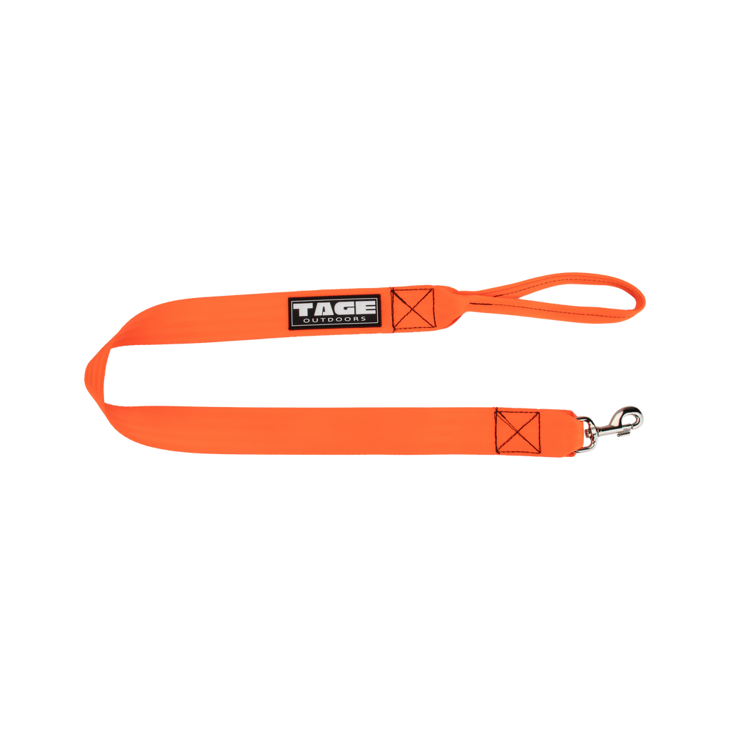 Dog leads Tage outdoors