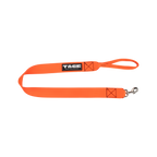 Dog leads Tage outdoors