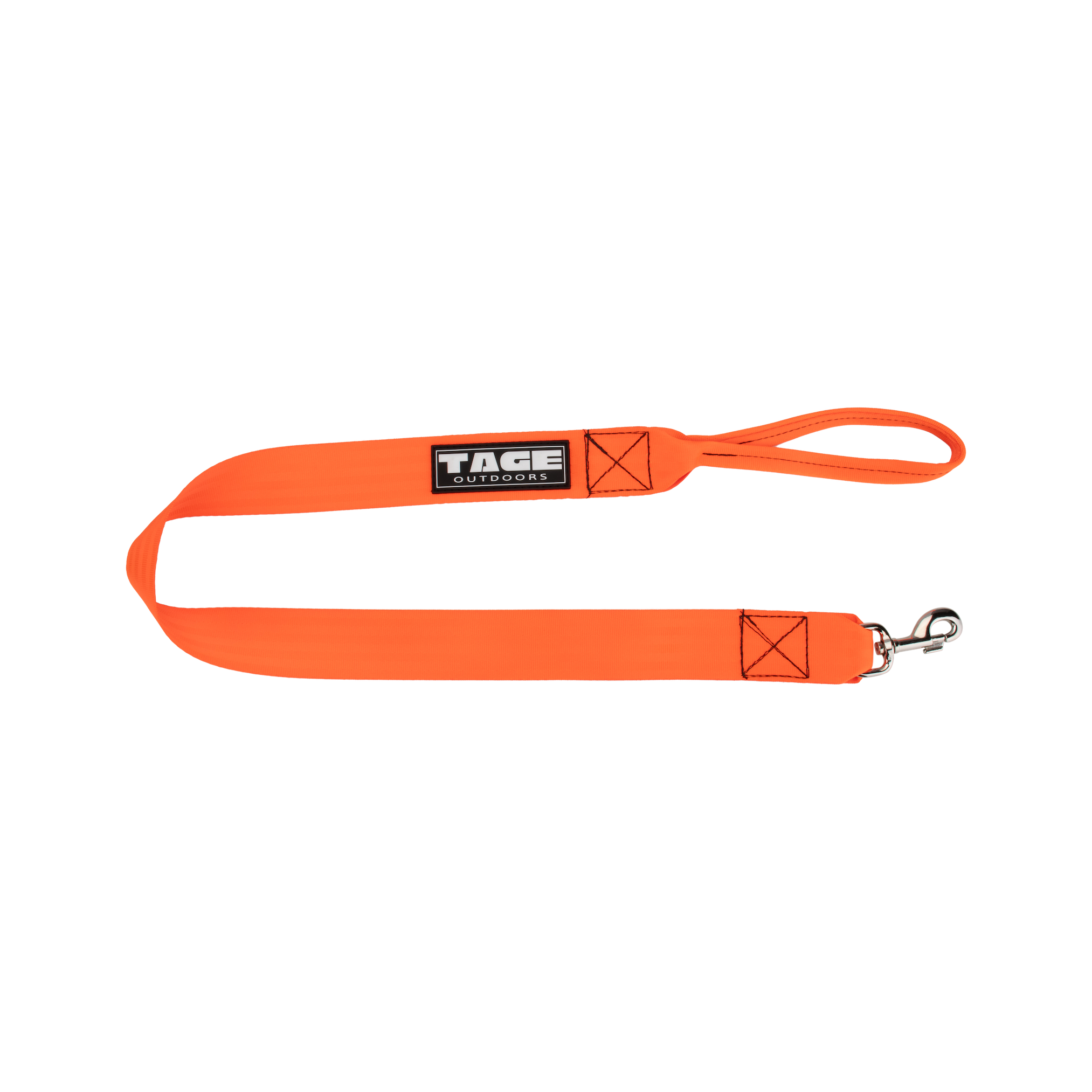 Dog leads Tage outdoors