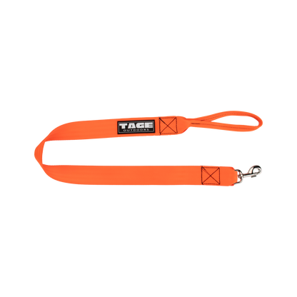 Dog leads Tage outdoors
