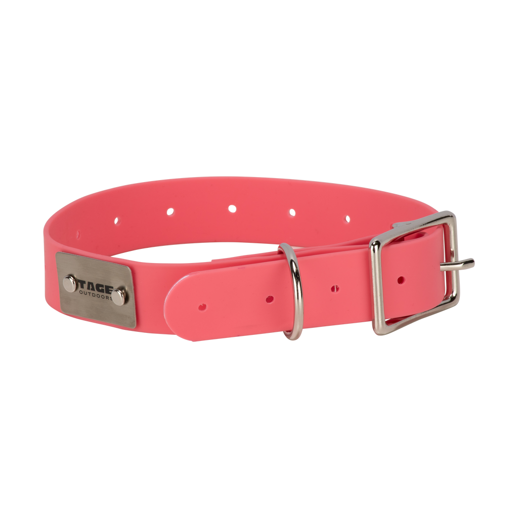 Dog Collars Tage outdoors