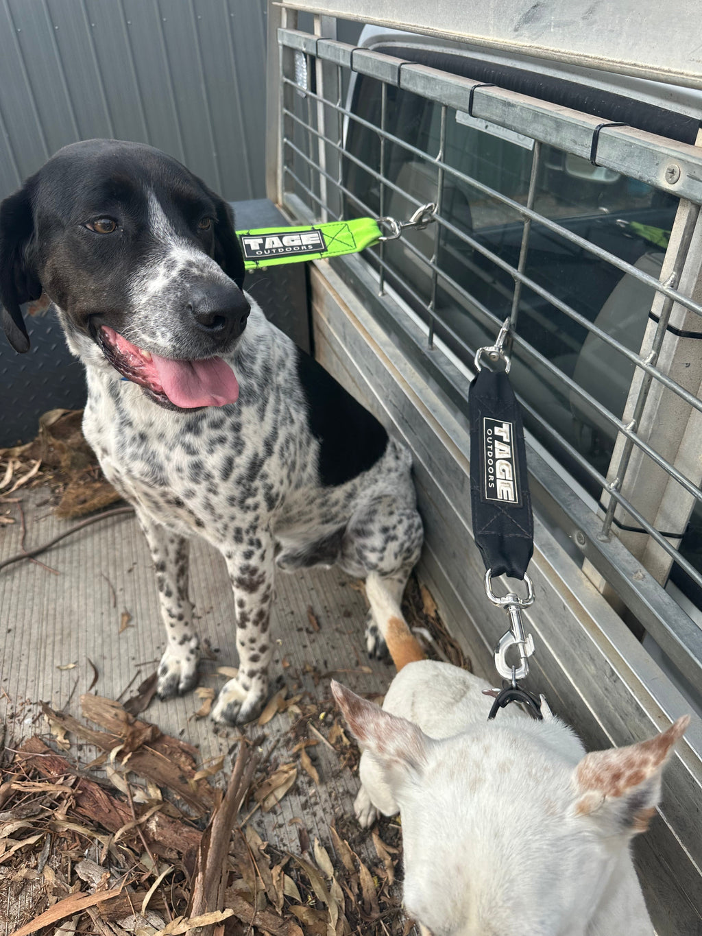 Ute Dog Lead Tage outdoors
