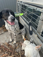Ute Dog Lead Tage outdoors