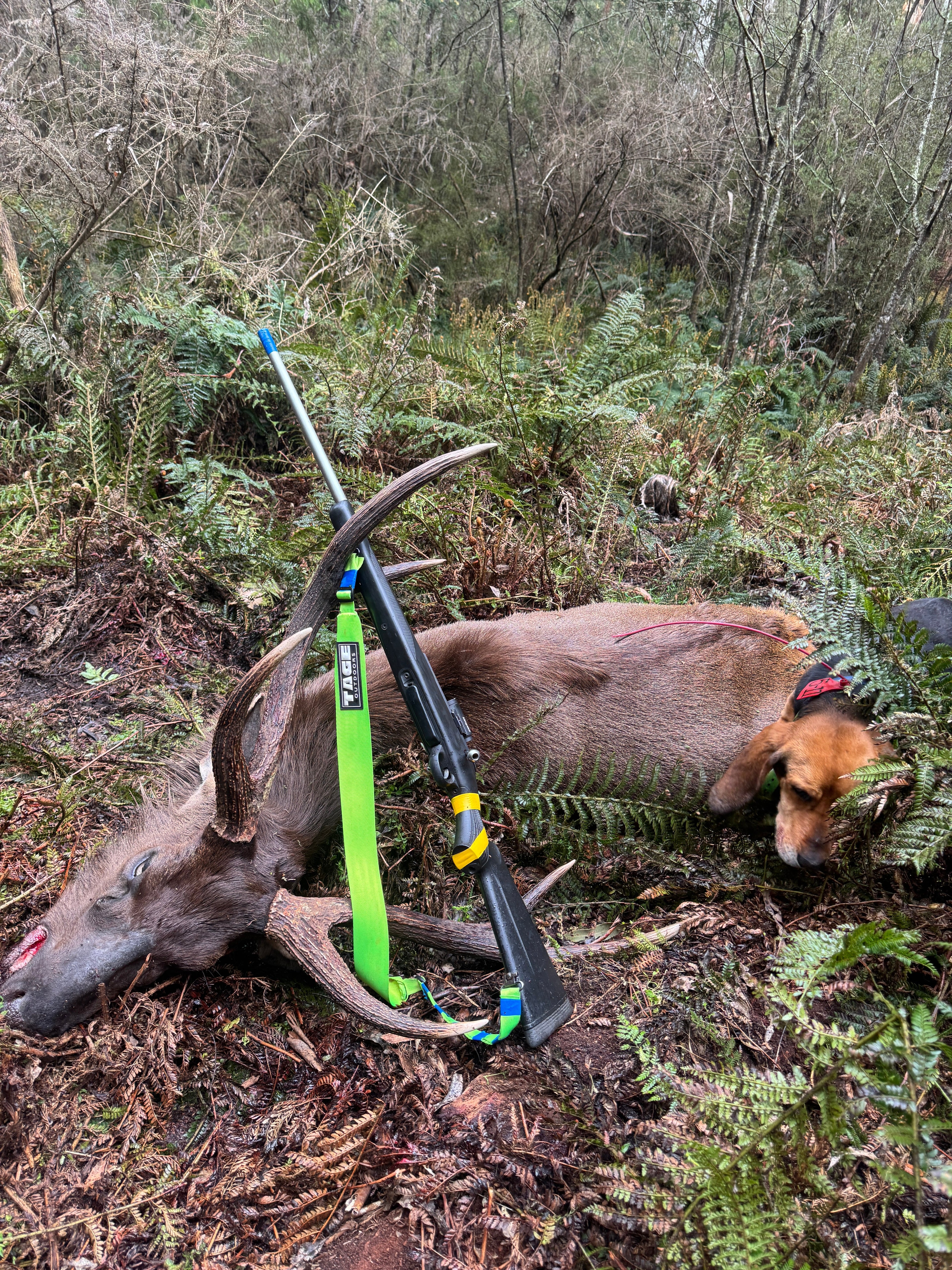 Gun Sling Tage outdoors