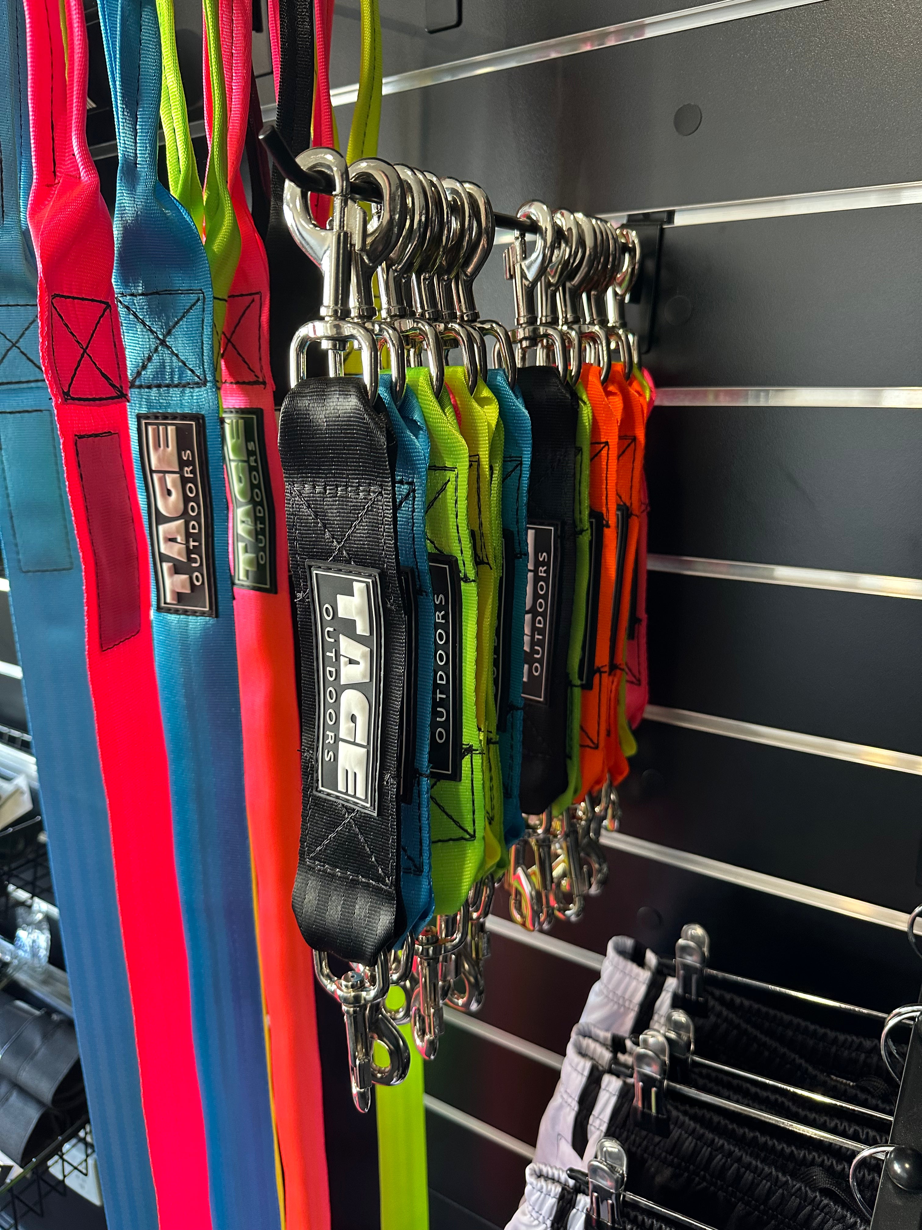 Dog leads Tage outdoors