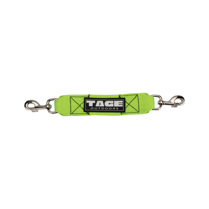 Dog leads Tage outdoors