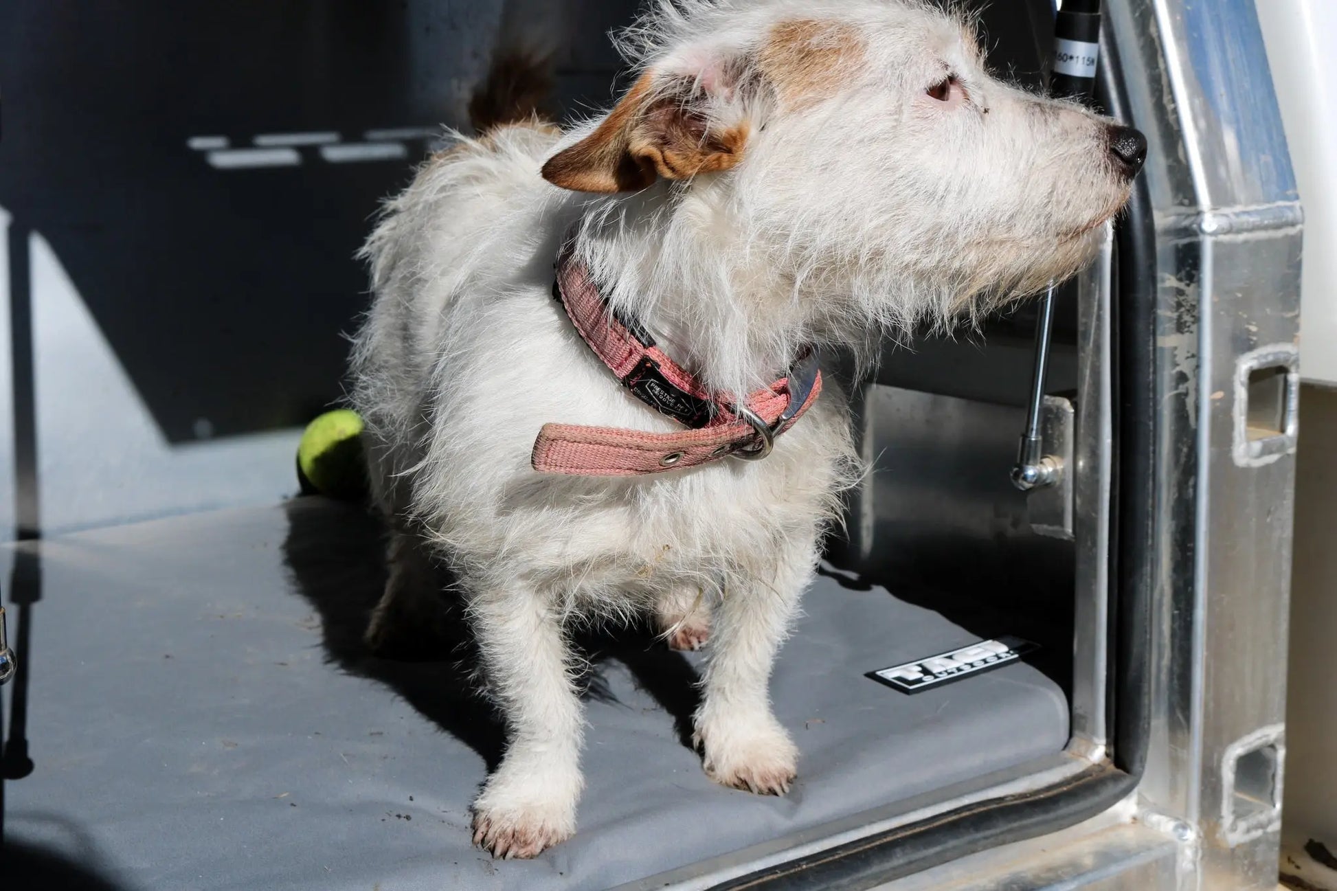 Canvas dog bed Tage outdoors