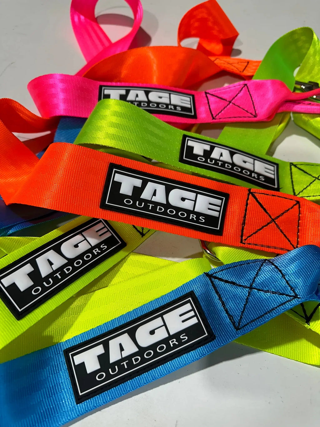 Dog leads Tage outdoors
